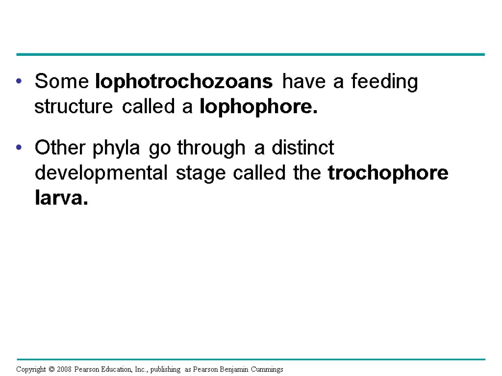 Some lophotrochozoans have a feeding structure called a lophophore. Other phyla go through a